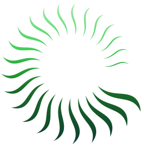 Mavenyx - Leadership Coaching and Training Programs